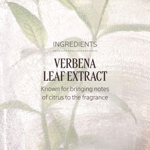 L'Occitane Verbena Cooling Hand Cream Gel 1 oz