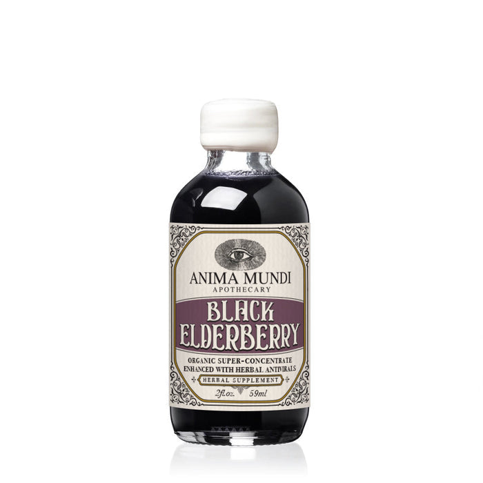 Anima Mundi Apothecary Black Elderberry Syrup | Botanical + Mushroom Elixir