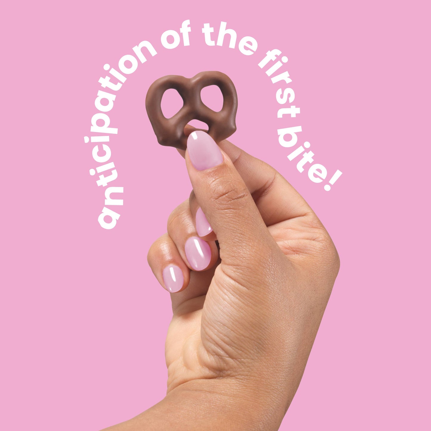 Milk Chocolate Covered Pretzels (6 bags)