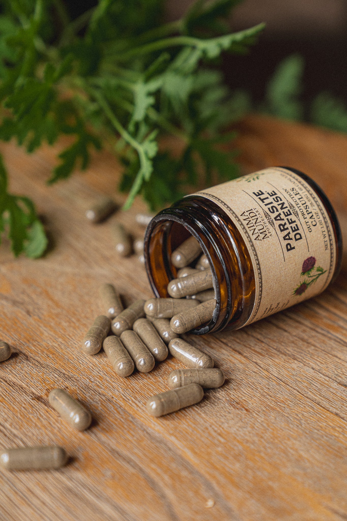 PARA-HERB DEFENSE | Gut Shield* Capsules
