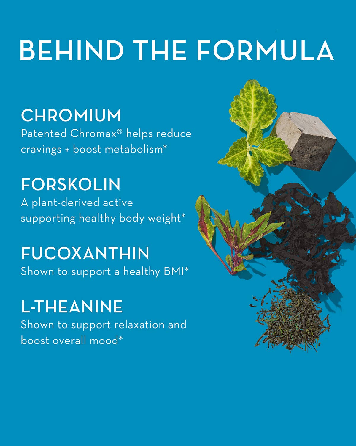 COUNTER CRAVINGS CAPSULES FOR REDUCING CRAVINGS