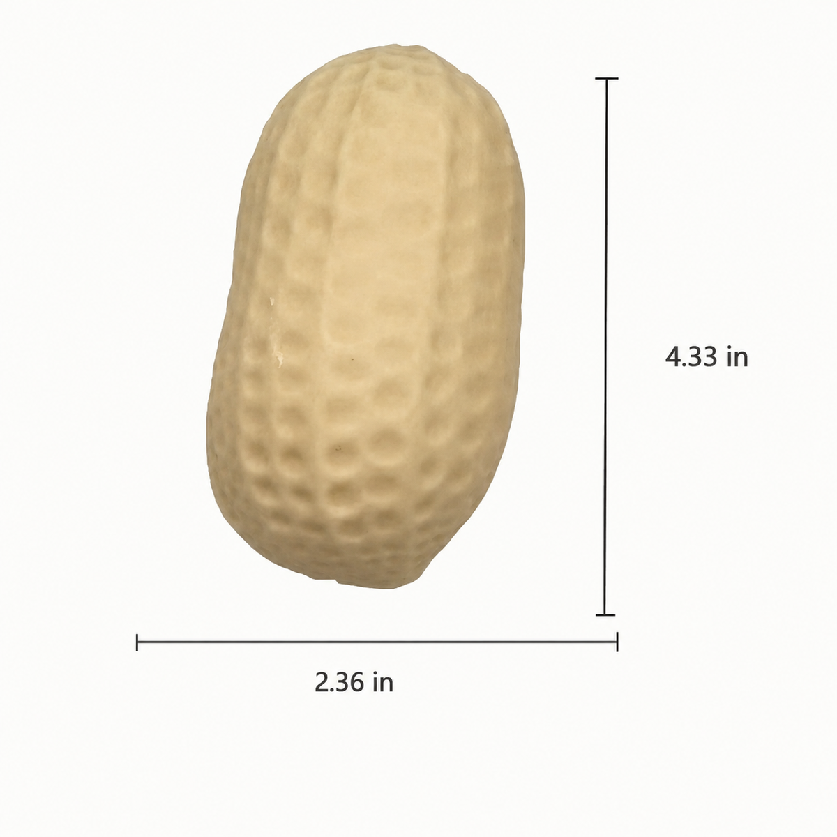 Crackle Peanut Squishy | Peanut Sensory & Fidget Toy