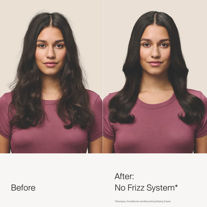 No Frizz Conditioner