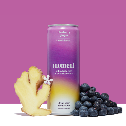 Blueberry Ginger 12-pack Botanical Water
