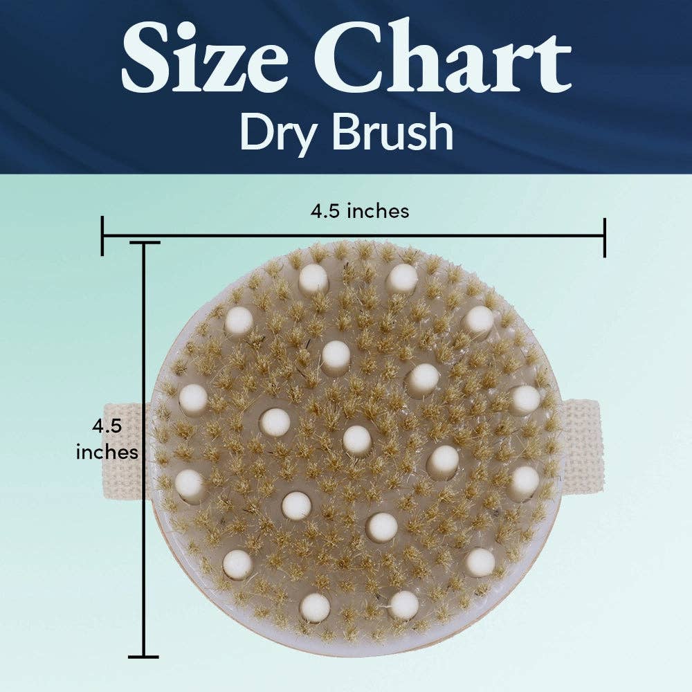 Bamboo Dry Brush  (6 units)