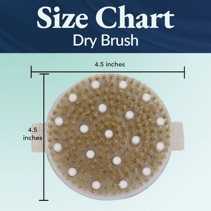 Bamboo Dry Brush  (6 units)