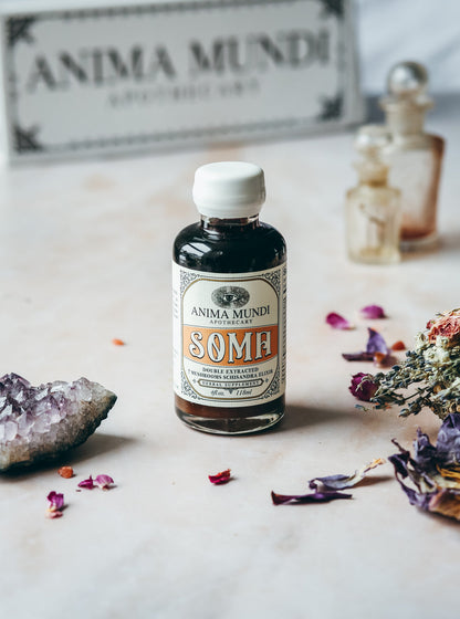 SOMA Elixir | 7 Mushrooms + Schisandra