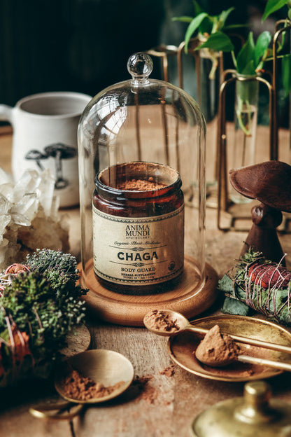 Anima Mundi Apothecary CHAGA | Organic Mushroom Powder, Body Guard