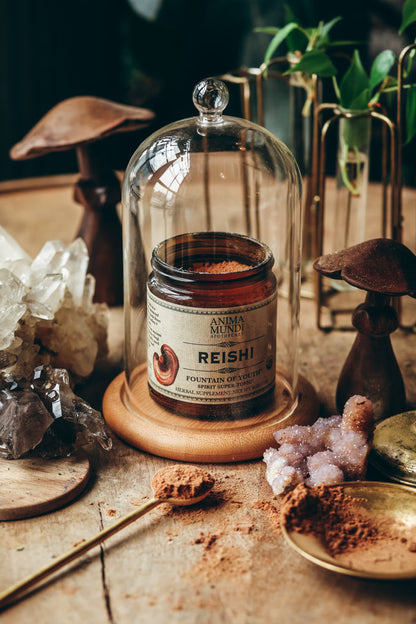Anima Mundi Apothecary Reishi | spirit super tonic