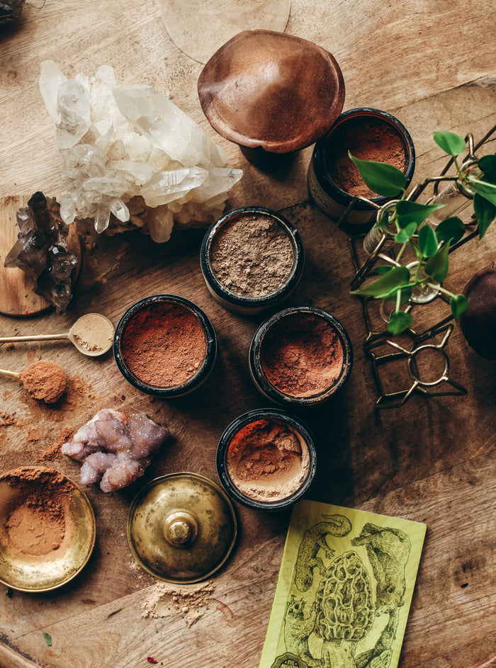 Anima Mundi Apothecary Reishi | spirit super tonic