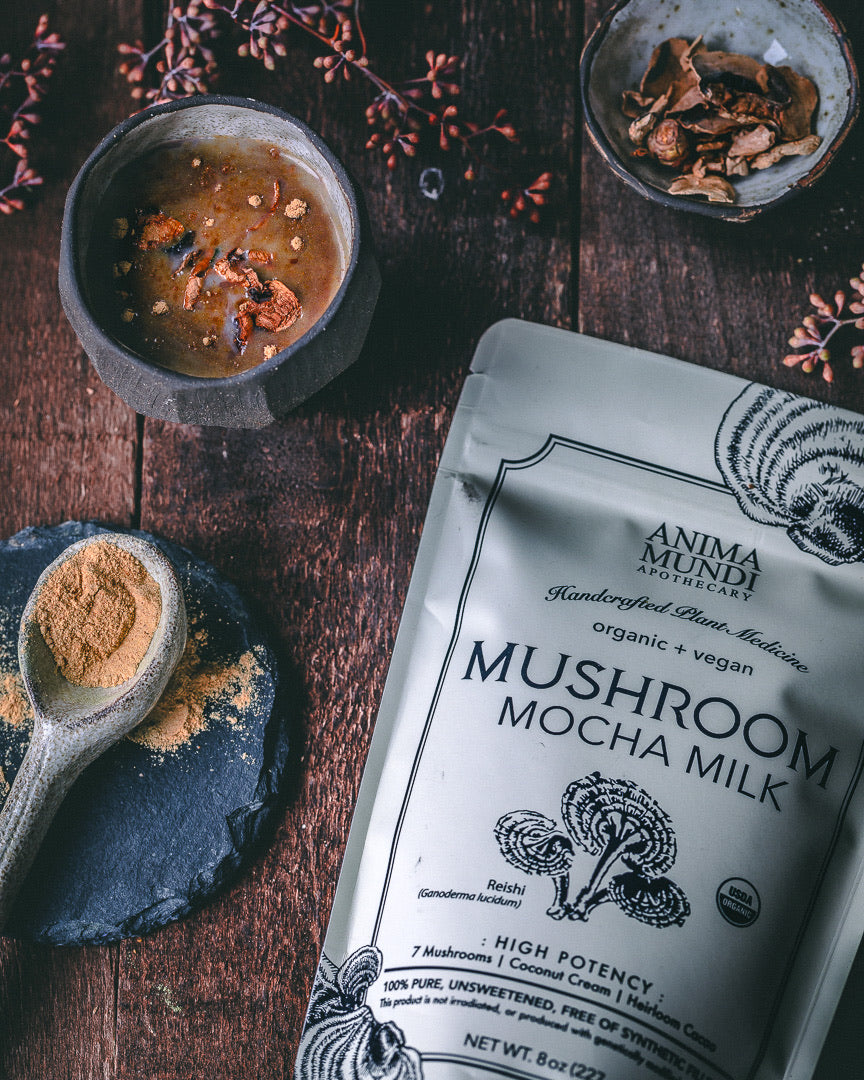 Anima Mundi Apothecary Mushroom Mocha Milk 8oz