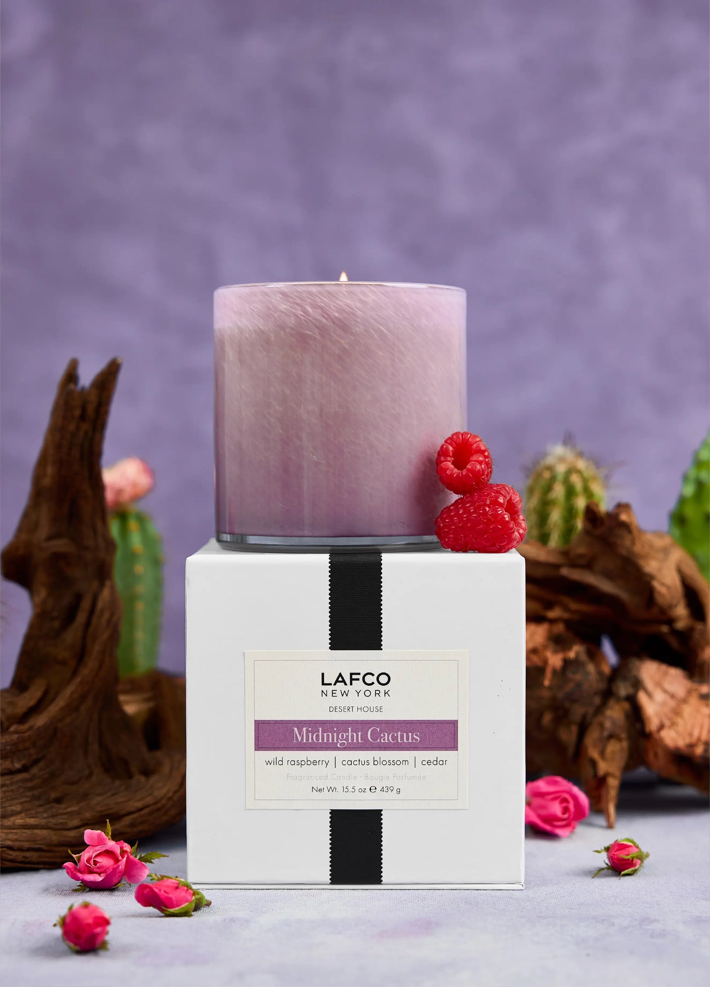 Midnight Cactus Classic Candle - Desert House